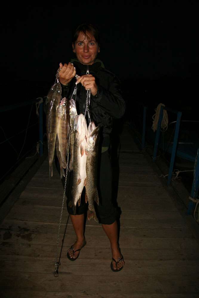 Рыбалка в Саратовской области на Волге, цена рыбалки в Саратове